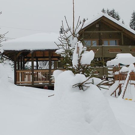 Gutsulwood Villa Jablunytsja Exteriör bild